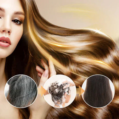 Japanese Long Lasting Natural Hair Dye Shampoo