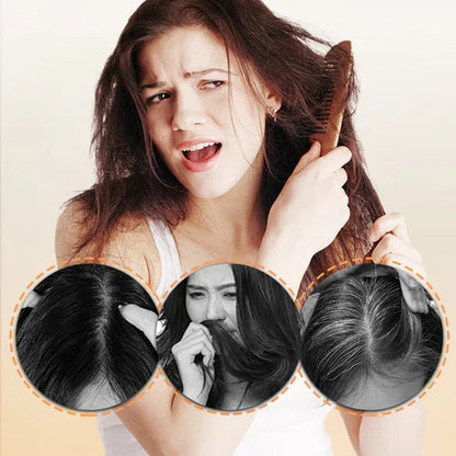 Japanese Long Lasting Natural Hair Dye Shampoo